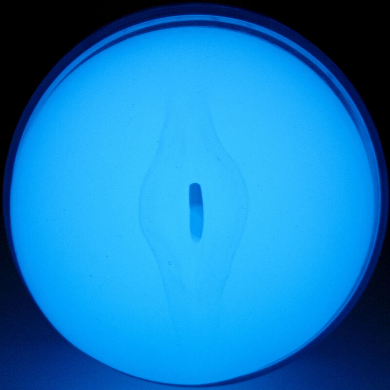 KIIROO - SENTEZ GLOW IN THE DARK STROKER – Image 4