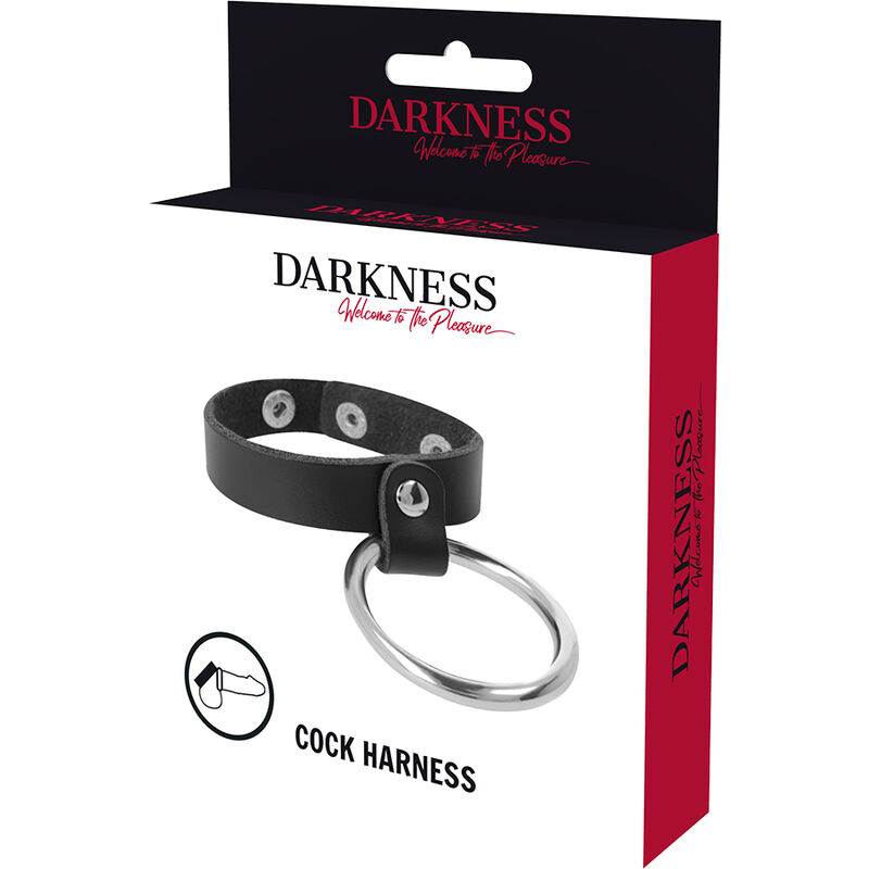 DARKNESS - ANNEAU MÉTALLIQUE POUR LE PÉNIS ET LES TESTICULES – Image 5